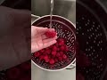 How to Clean Berries | Make Berries last longer #wellnesstips #shorts