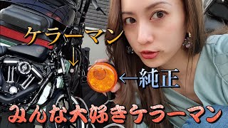 2種類のケラーマン 極小ウィンカー バイクカスタム【ハーレー】