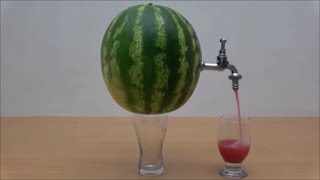 Los Videos mas Raros del Mundo 253 / Videos Increibles