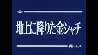 「地上に降りた金シャチ」No.1489_2