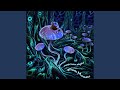Rhizomorh Hyphae