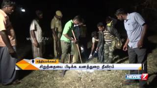 Forest officers' search for Cheetah in Sathyamangalam | News7 Tamil