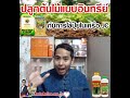 ปลูกไม้แบบเกษตรอินทรีย์ กับการใช้ปุ๋ยในเครือ jc คลิก burinonline.org