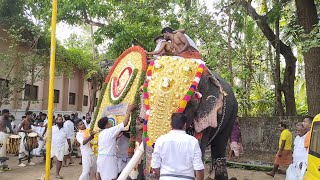 തിടമ്പേറ്റി തെക്കിന്റെ തേവർ | Thrikadavoor Sivaraju | Mambullikkavu pooram