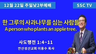 '24.12.22일 안산성산교회 주일낮2부설교 이용수목사 (A person who plants an apple tree.)