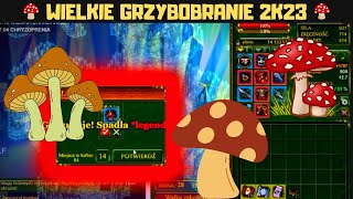 GRZYBOBRANIE 2023 W MARGONEM