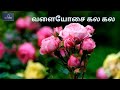 Valaiyosai kala kala | Tamil film Song | by prabhu amal LILLY MEDIA