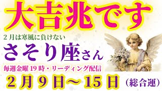 【蠍座】2025年2月9日から15日までのさそり座の総合運。#蠍座 #さそり座