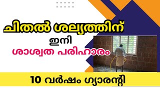 ചിതൽ ശല്യം ഒഴിവാക്കാൻ ശാശ്വത പരിഹാരം / Termite Pest Control Treatment / dzignlab / SASIKUMAR