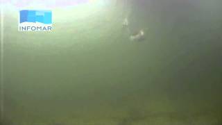 01 Taking Sediment Sample