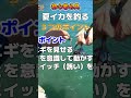 【誰でも釣れる】攻略のカギ　#shorts #エギング #squid #fishing  #sun7channel #釣り