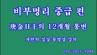 120 비부명리 중급편, 庚金日干의 12개월 통변 3부