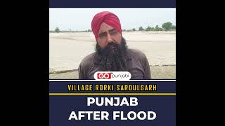 Punjab After Flood - village Rorki Sardulgarh