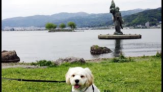 キャバションのクッキー「諏訪湖の公園をルンルン散歩～♪」