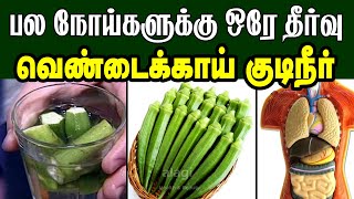 வெண்டைக்காய் நீர் நன்மைகள் |Top Health benefits of drinking okra water Tamil | ladies finger water