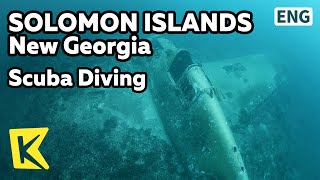 【K】Solomon Islands Travel-Guadalcanal Island[솔로몬제도 여행-뉴조지아]스쿠버다이빙, 열대어와 전쟁잔해/Scuba Diving