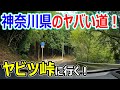 【ヤビツ峠！】神奈川県のヤバい道に行ってみた！