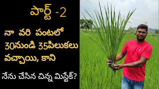 పార్ట్-2 నా వరి పంటలో 30నుండి 35పిలుకలు వచ్చాయి కాని నేను చేసిన చిన్న మిస్టేక్? భరత్ రైతుబడి