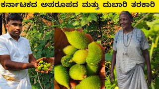 ಕಾಡು ಆಗಲ ಅಚ್ಚರಿಯ ವಿವರಣೆ/ಕಾಡಿನ ನೈಜ ಜೇಂಕಾರ, ಇಯರ್ ಫೋನ್ ಹಾಕಿ ಆಲಿಸಿ