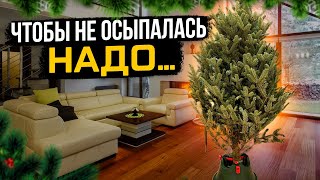 Проверено - до весны не осыплется! Как сохранить живую елку дольше