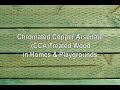 Chromated Copper Arsenate (CCA) Treated Wood in Homes & Playgrounds