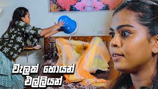 වැලක් හොයන් එල්ලියන් | Bekari Gedara