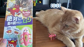 【猫のおもちゃ】ペティオの電動ちょろたんで遊んでみた！【ブリティッシュショートヘア】【茶トラ】