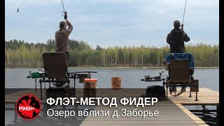 Разведка на фидер. Озеро вблизи д. Заборье. ВИДЕО-ОБЗОР // PSHENO