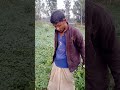 এই শাখ হাট বাজারেও নাই চাষী। shortsvideos