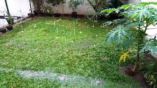 20170927 今朝のインドネシア、南ジャカルタ、雨です。