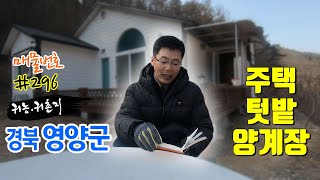 ★경북땅김소장★[매번296번] 경북 영양군 청기면 토지매매