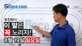 18년 8월 19일 (일) 이 말은 꼭 노리자![경마방송]