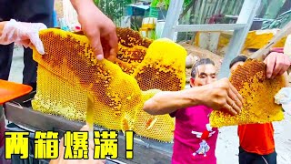 Two boxes of bees took more than 30 catties of honey  and Ah Liu's salary was 8 catties of honey  s