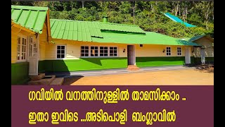 GAVI FOREST STAY - ഗവിയിൽ വനത്തിനുള്ളിൽ താമസിക്കാം .. ഇതാ ഇവിടെ ..അടിപൊളി  ബംഗ്ലാവിൽ #gavi home stay