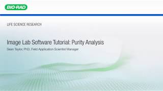Image Lab Software Tutorial: Purity Analysis