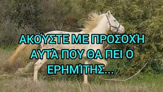 ΑΚΟΎΣΤΕ ΜΕ ΠΡΟΣΟΧΉ ΑΥΤΆ ΠΟΥ ΘΑ ΠΕΙ Ο ΕΡΗΜΊΤΗΣ...ΓΙΑΤΊ ΤΟ ΊΔΙΟ ΠΡΈΠΕΙ ΝΑ ΚΆΝΟΥΜΕ ΚΑΙ ΕΜΕΊΣ...