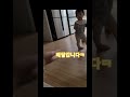 6 3금 생후424일 달밤에 형아랑 체조하는중 만13개월아기 baby