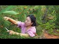 Pine Flower Wine | Make wine with pine flowers and make tea with spring raindrops. [Shen Dan]