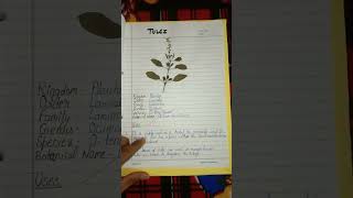 Herbarium project of medicinal plants