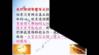 傳銷基本功-雁行理論_團隊合作的啟發