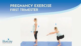 First Trimester Pregnancy Exercise - Bodyweight Squat