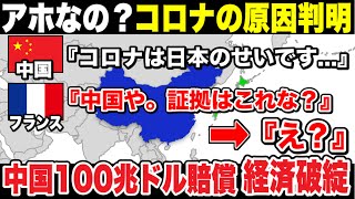 中国がブチギレられ世界から賠償請求！コロナの嘘と真実【ゆっくり解説】