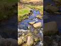 Peak District Waterfalls | Grindsbrook Clough | Solo Hiking