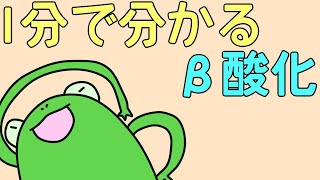 【1分でわかる】β酸化【解説】