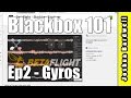BLACKBOX 101 | Ep2 - Interpreting Gyros