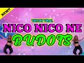 Nico Nico Ni - Tiktok Viral Budots2024 - DjElino Remix