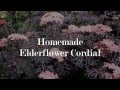 The Drunken Botanist:  Make Your Own Elderflower Cordial