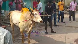 Beemarao street munjurpet appu Anna kaalai