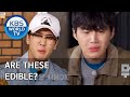 Are these edible? [2 Days & 1 Night Season 4/ENG/2020.06.07]