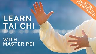 Tai Chi for Beginners | Best Instructional Video for Learning Tai Chi | Lesson 1
